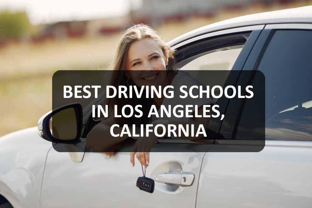 california traffic school