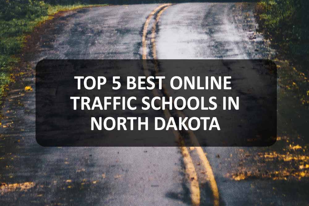 best online traffic schools