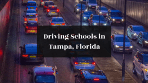 Driving Schools in Tampa, Florida featured image