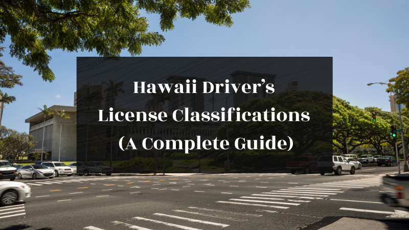 driver license hawaii maker online free