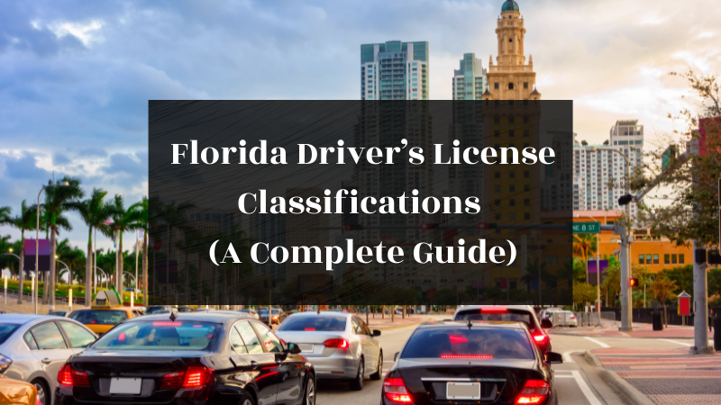 Illinois Driver S License Classifications