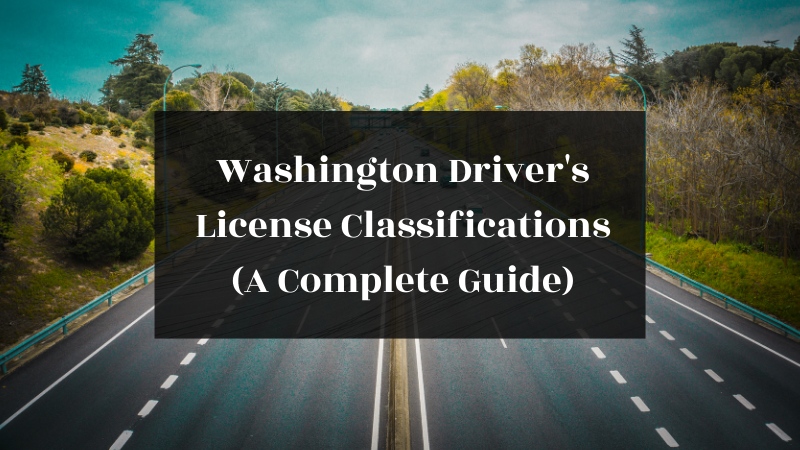 Washington Driver's License Classifications (A Complete 2022 Guide)