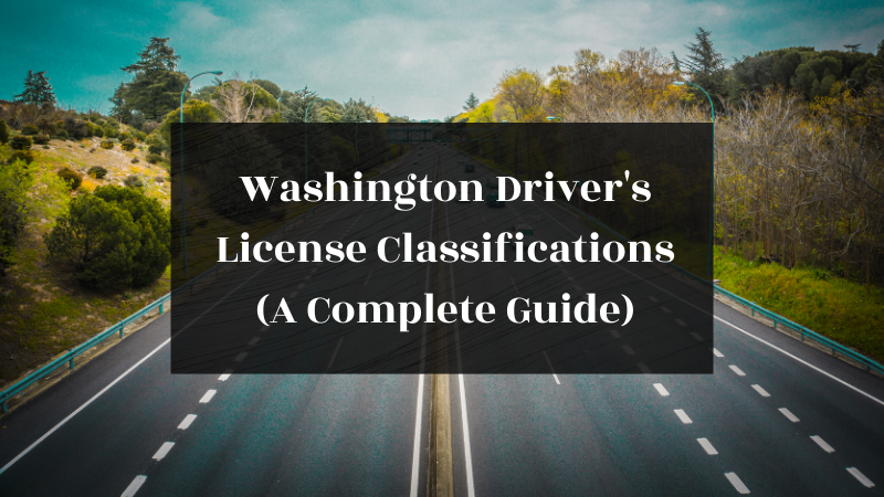 washington driver license check