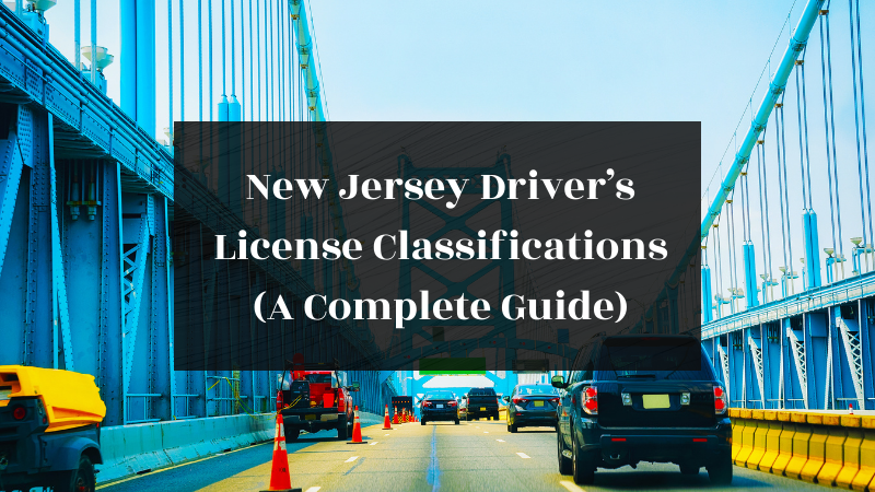 new-jersey-driver-license-license-lookup