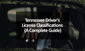 Tennessee Driver's License Classifications Guide
