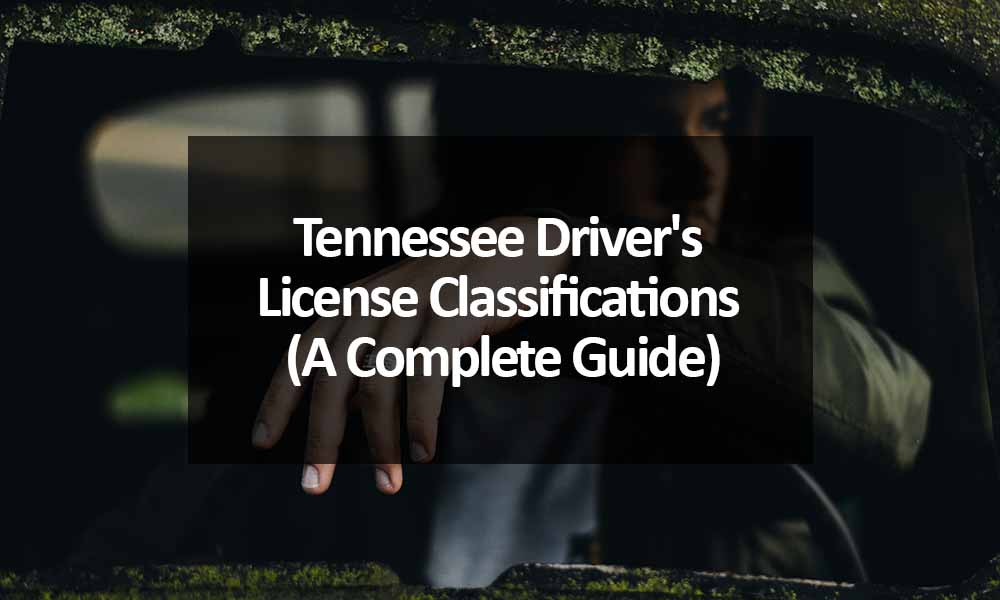 tennessee-driver-s-license-classifications-a-complete-2023-guide