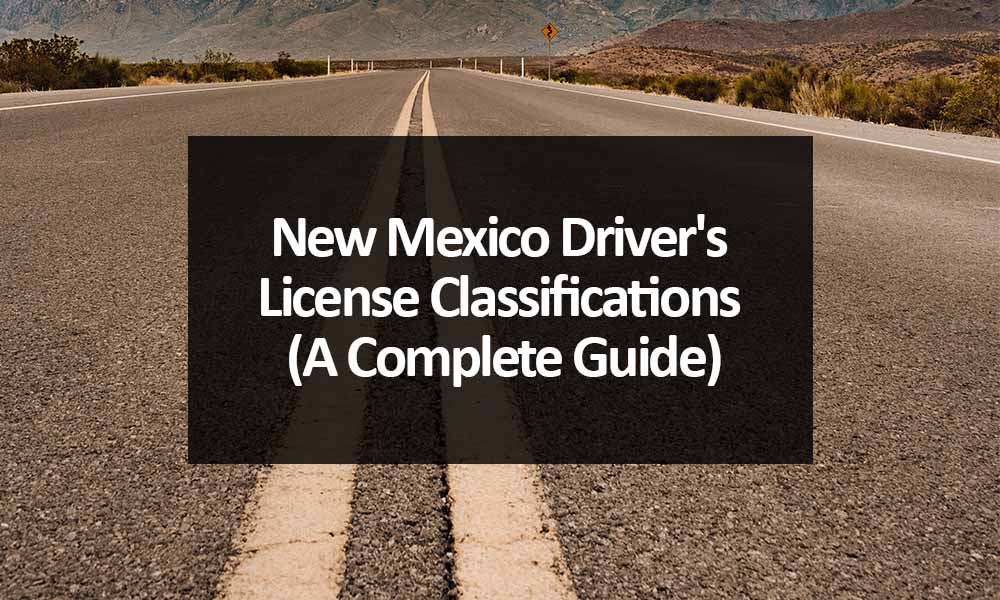 New Mexico Driver's License Classifications